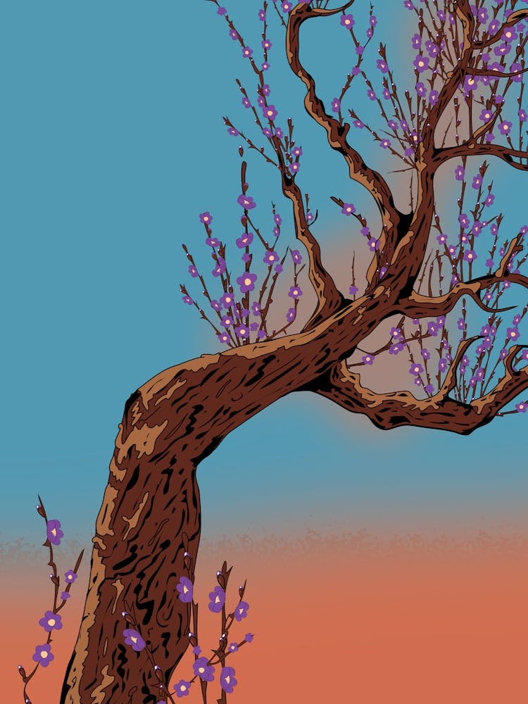 Cherry Blossom Tree