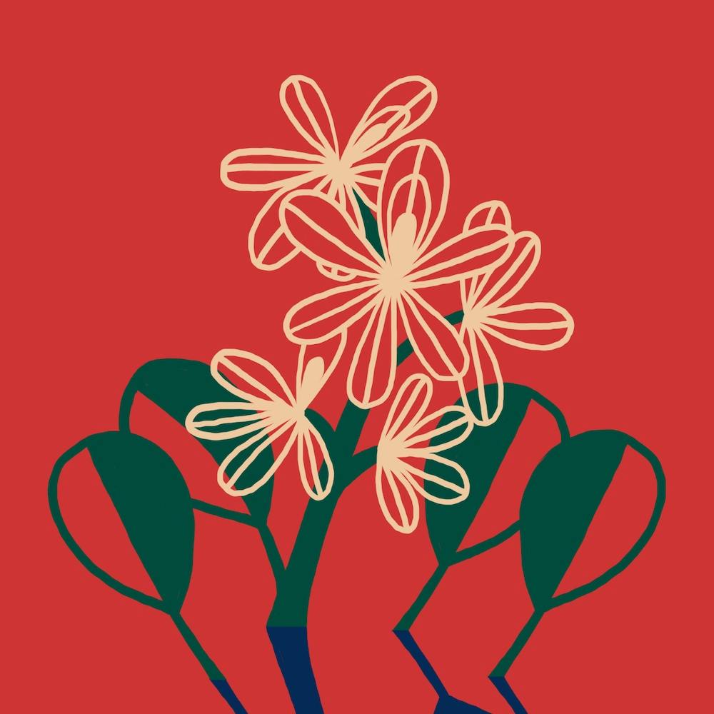 Seerose Quadrat