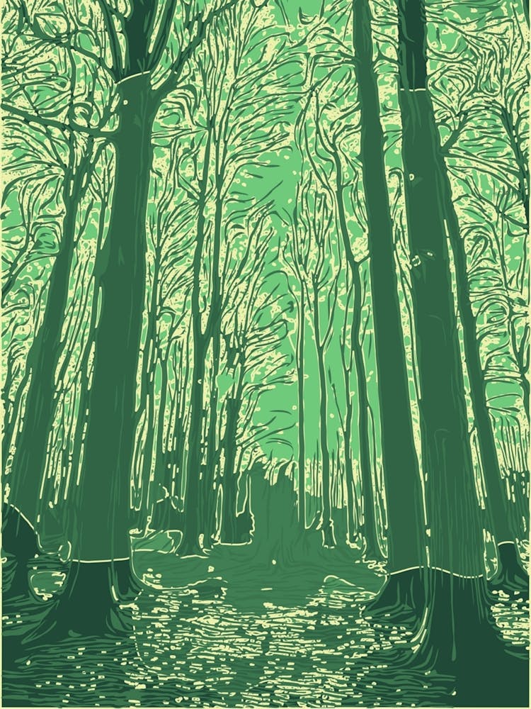 Promenade dans les Bois