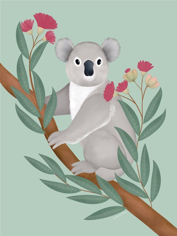 Koala Bear In Eucalyptus Tree