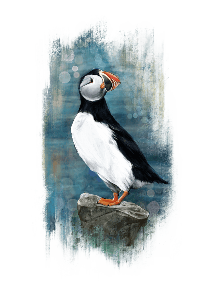 Puffin