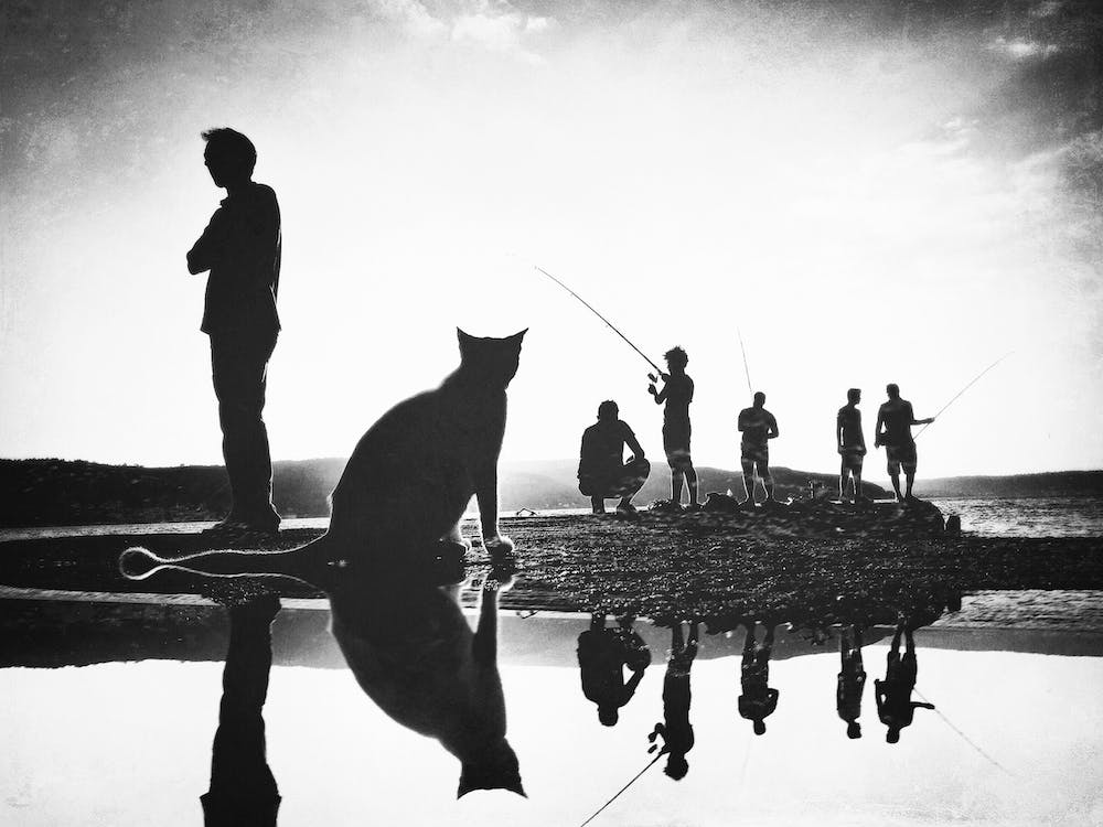 Fishermens Friend
