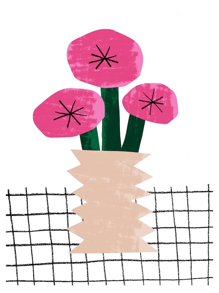 Big Pink Flowers In A Vase