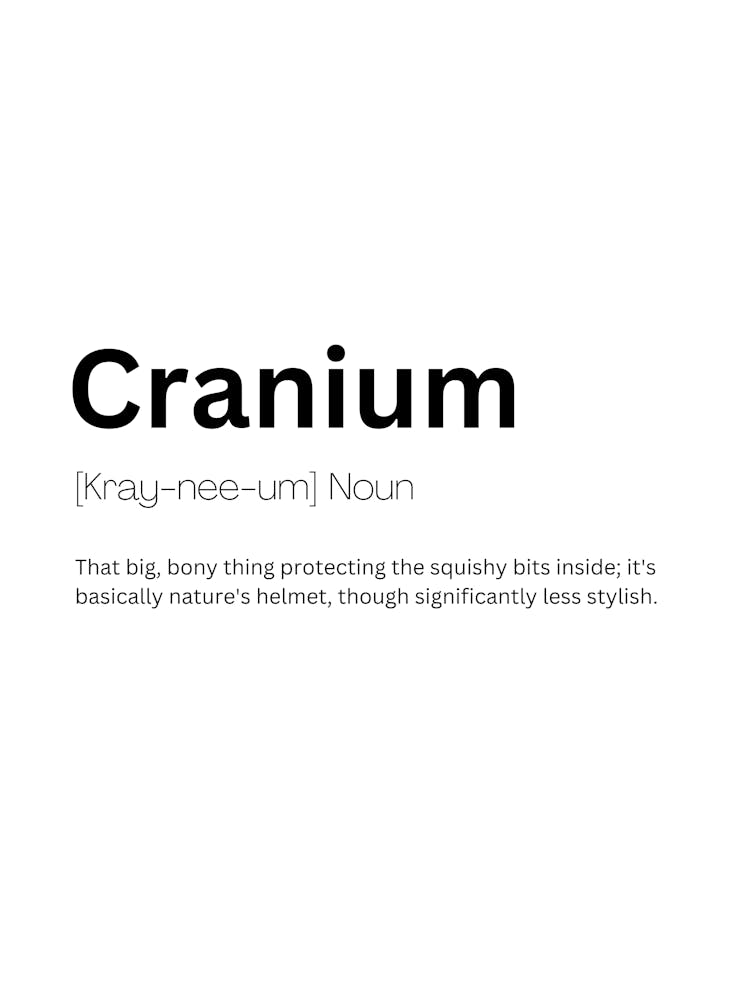Cranium Definition Meaning 1