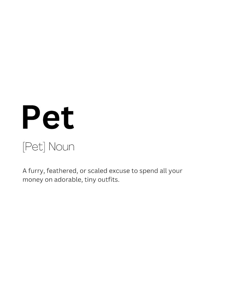 Pet Definition Meaning