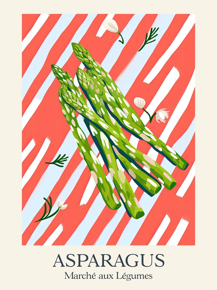 Marche Aux Legumes Asparagus Summer Illustration 1