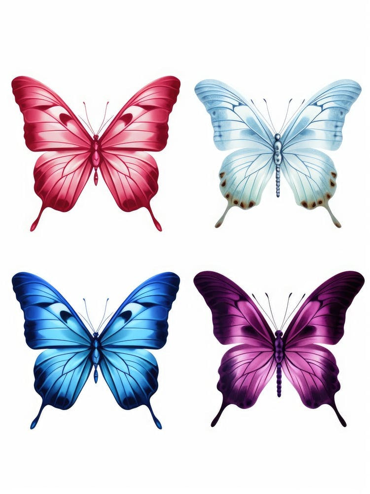 Butterfly Set 4