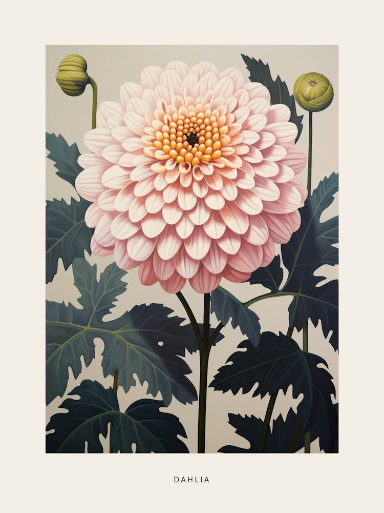 Flower Illustration Dahlia 1 Poster