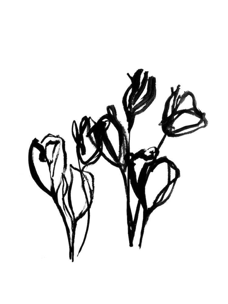 Spring Tulips Iii
