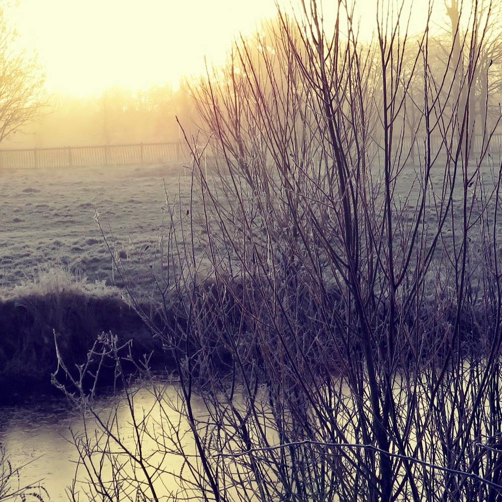 British Countryside sunrise winter lake