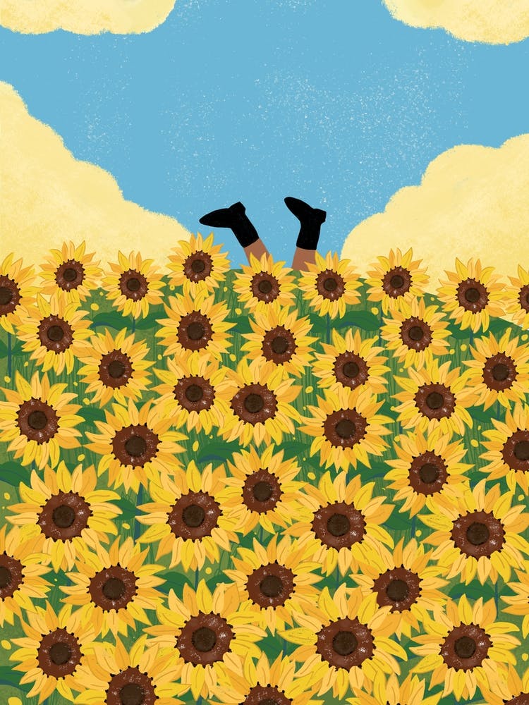 Admist Sunflower Fields