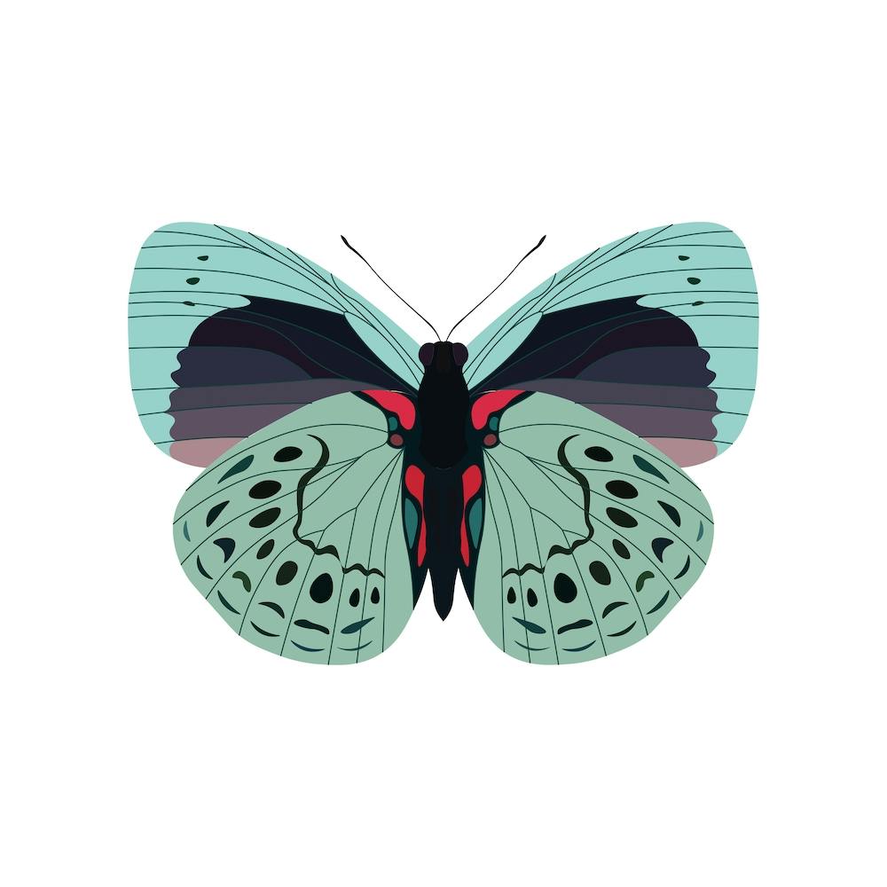 Gossamer Butterfly Square