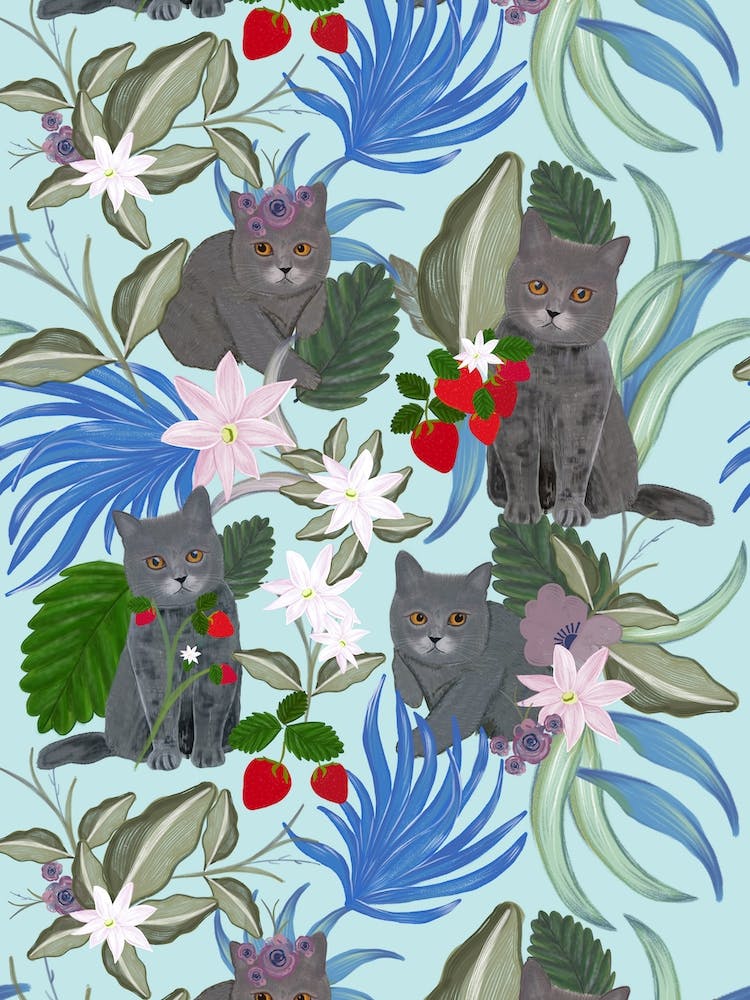 Cat Strawberry And Flowers