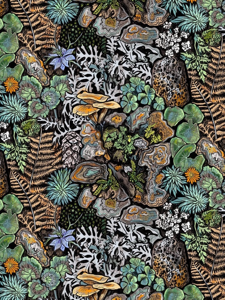 Woodland Botanicals Forest Floor