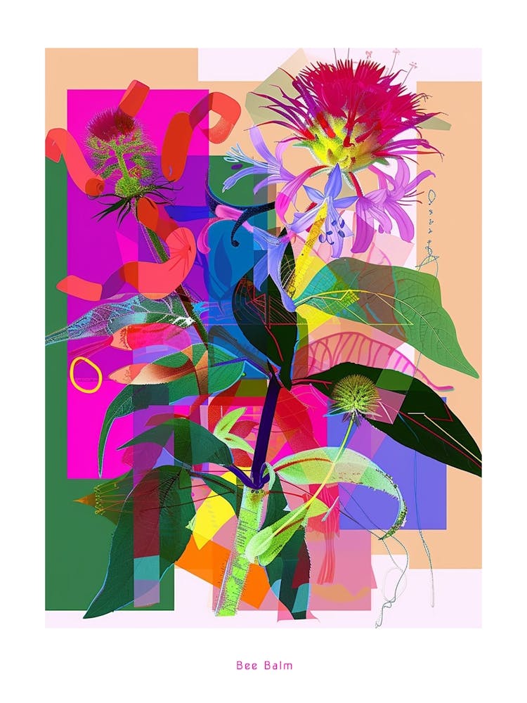 Monarde 3 Affiche Collage Fleur Néon