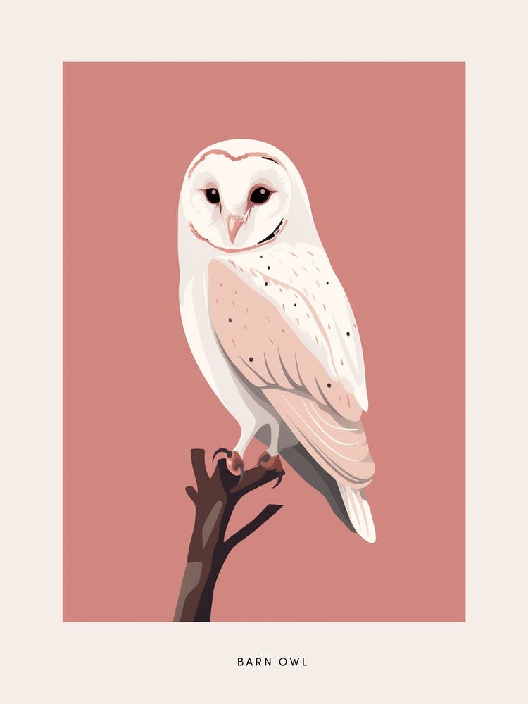 Minimalist Barn Owl 2 Bird Poster