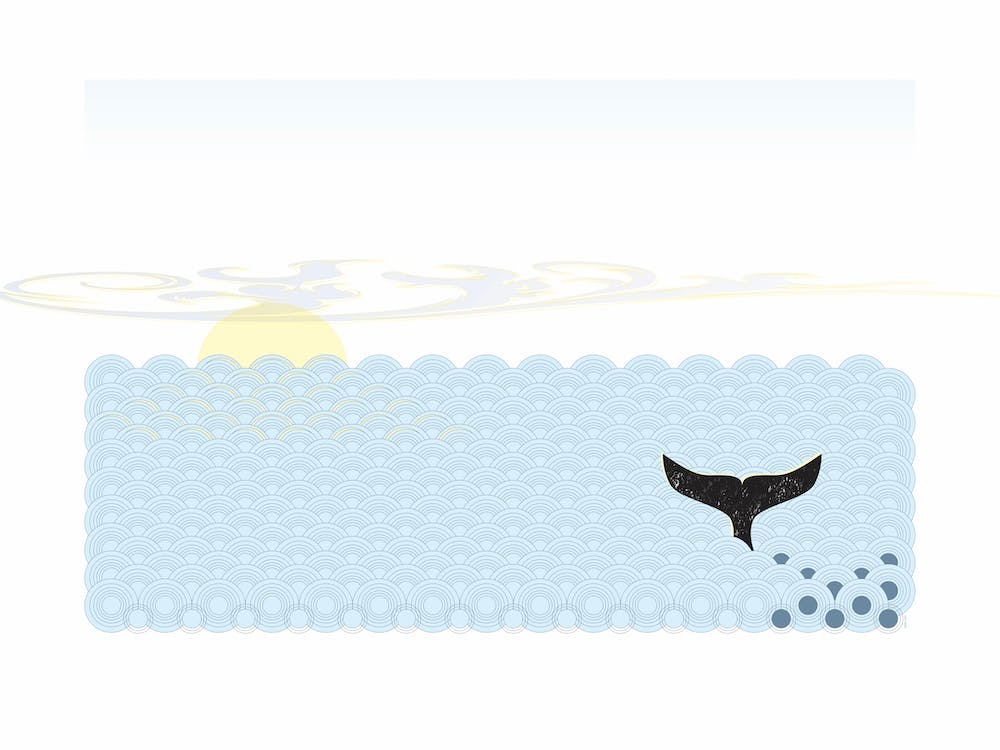 open sea