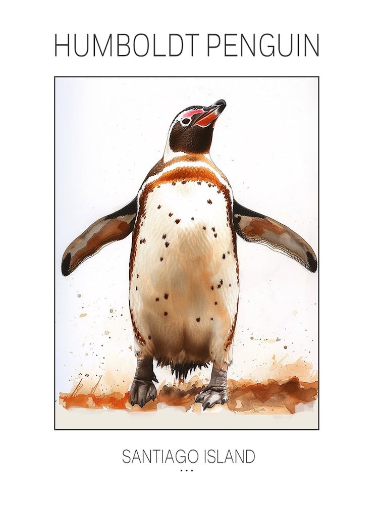 Humboldt Penguin Santiago Island Watercolour Painting 2 Poster