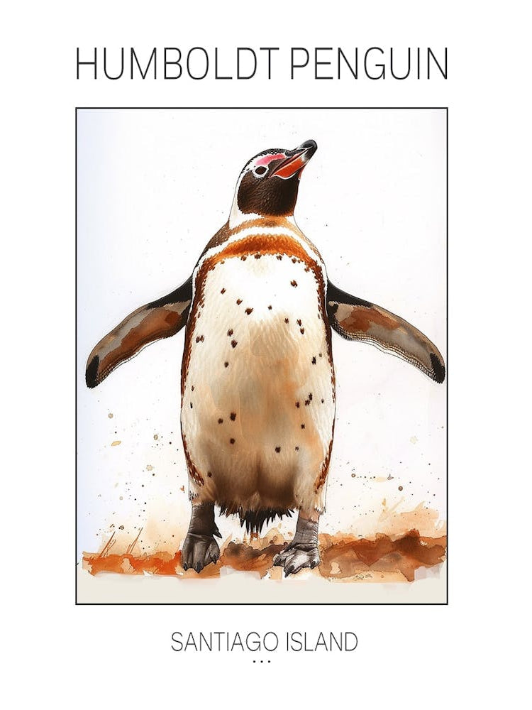 Humboldt Penguin Santiago Island Watercolour Painting 2 Poster