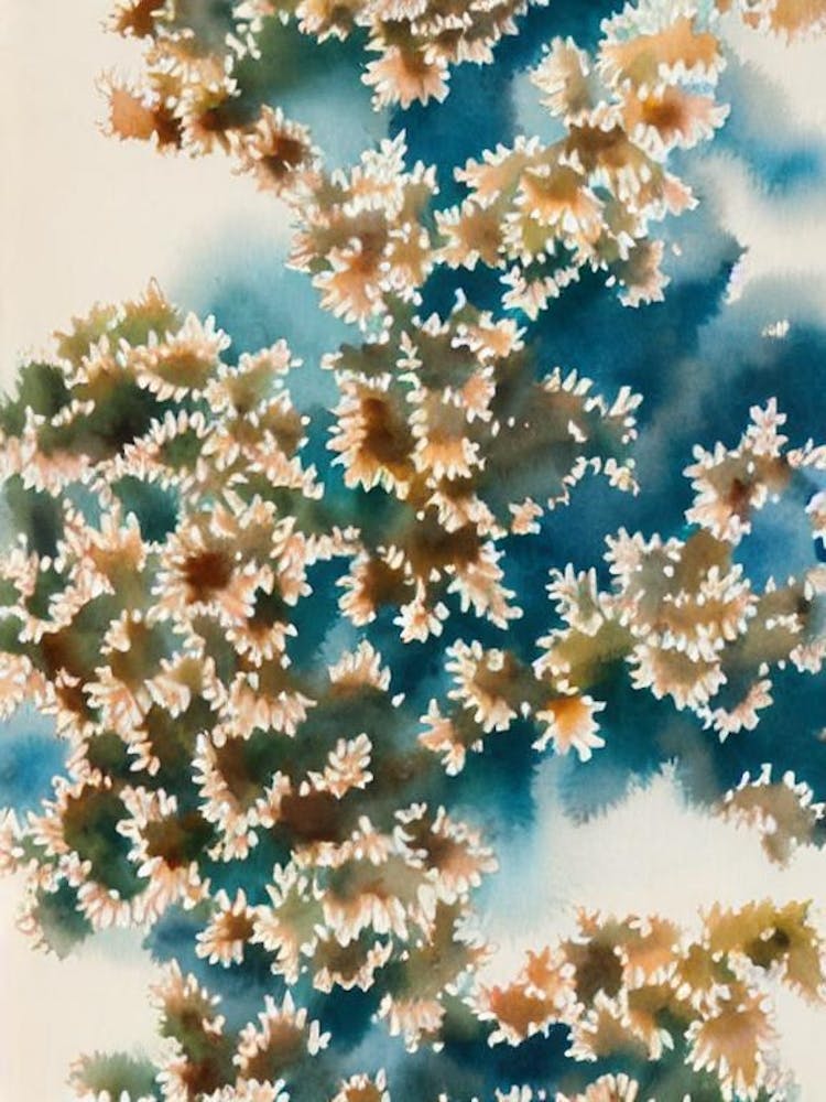 Acropora Verweyi Vintage Graphic Watercolour