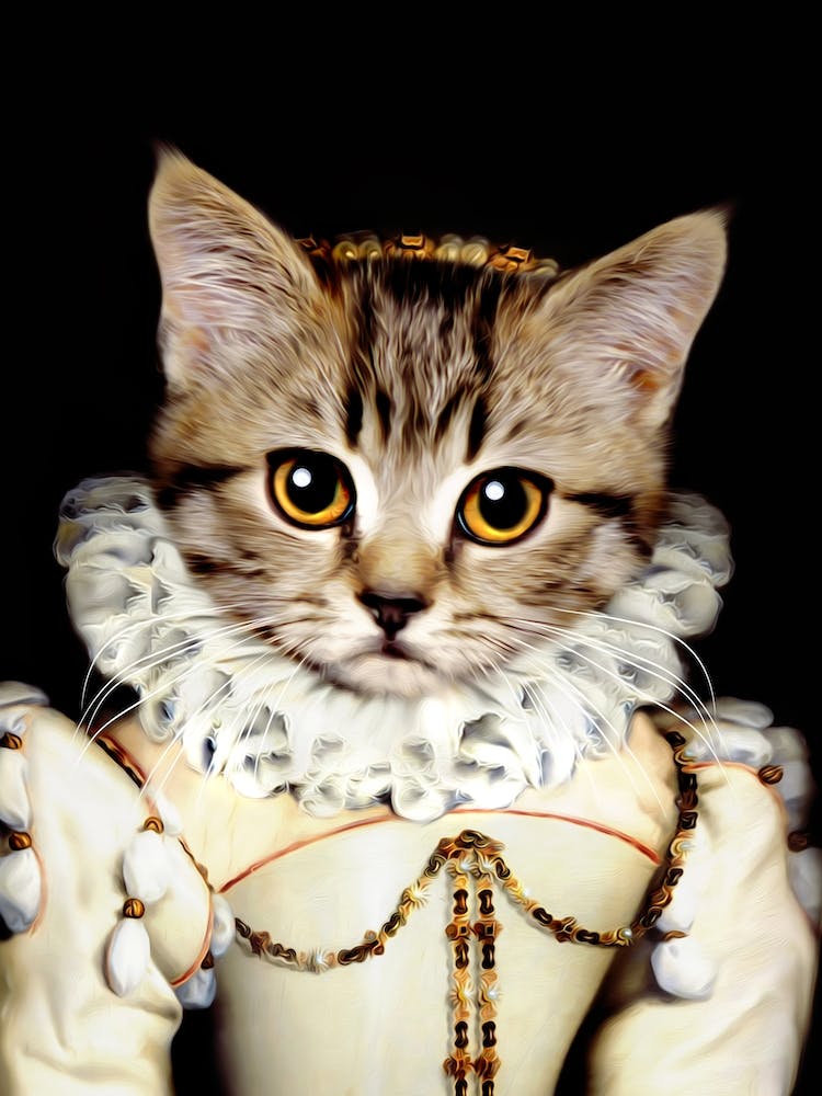 Cute Pam The Little Cat Pet Portraits