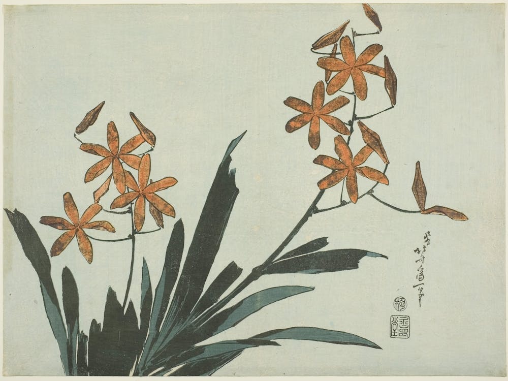 Orange Orchideen, Katsushika Hokusai