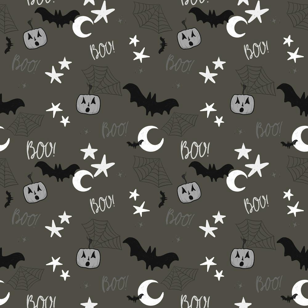 Black And White Pumpkin On Charcoal