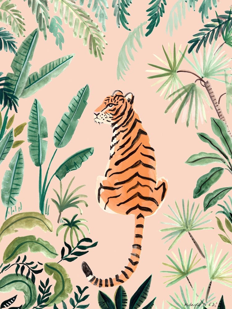 Kayaan King Of The Jungle