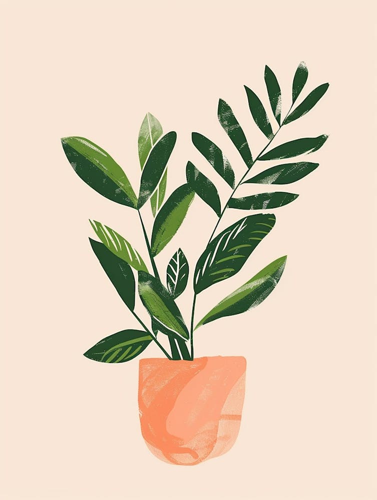 Zz Plant Minimalist Illustration 15