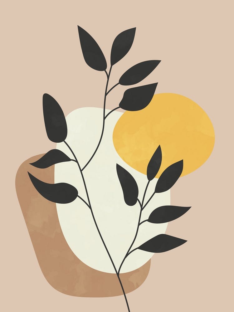 Plante Boho Minimaliste
