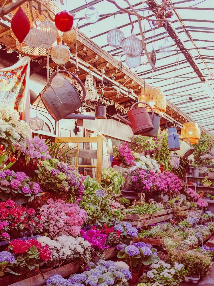Flowers Retro Fantasy
