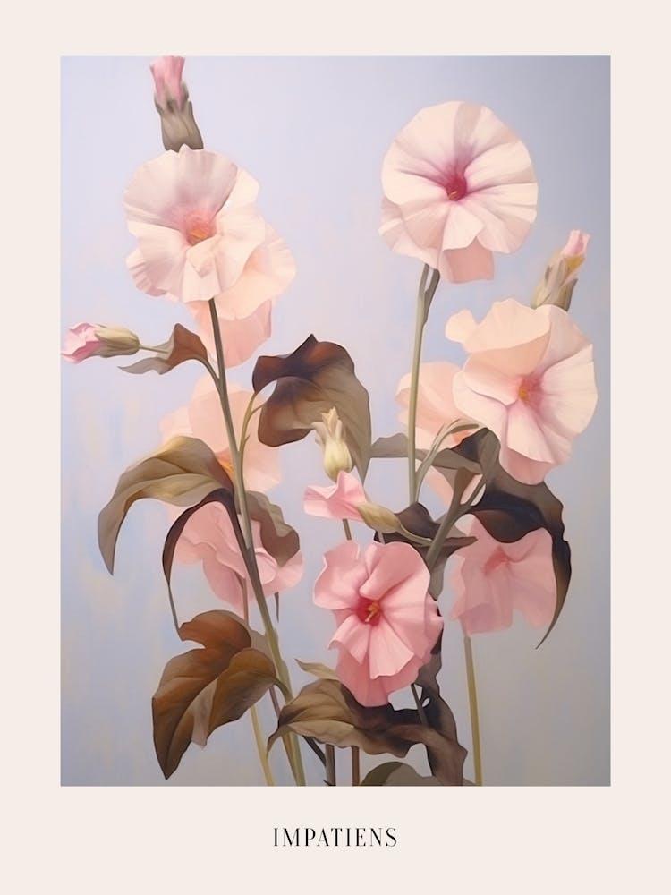 Floral Illustration Impatiens 1 Poster