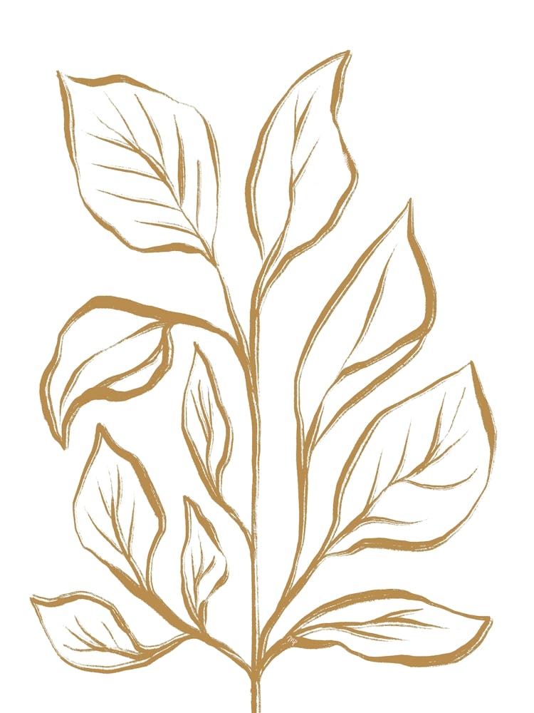 Leafy Plant Two