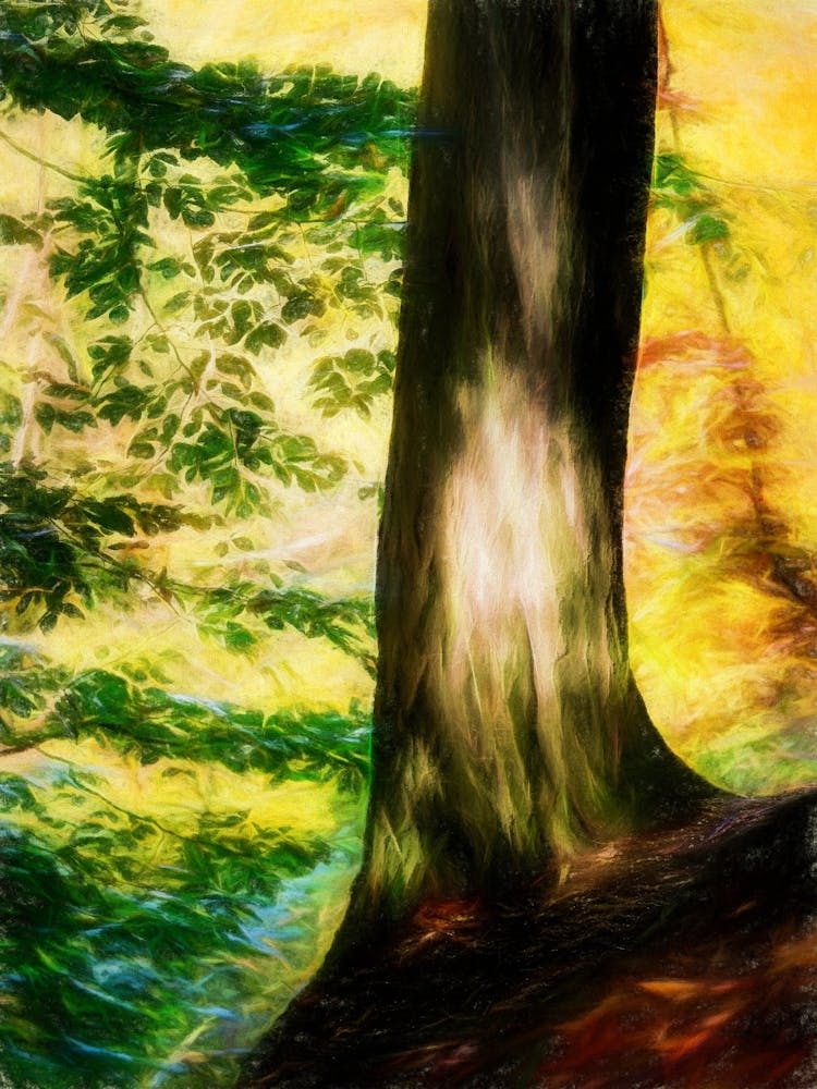 Sunlit Woodland Tree
