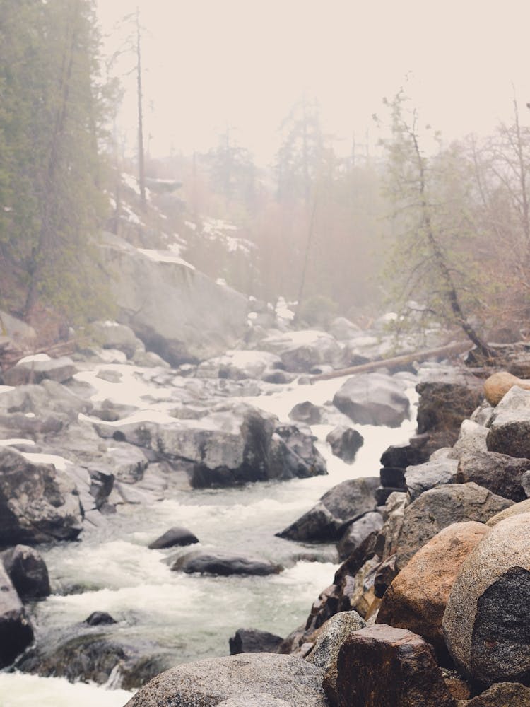 Rocky Mountain River Wonderland