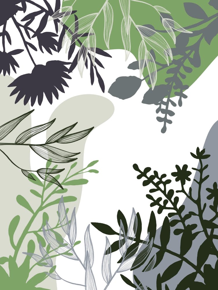 Botanical Abstract Illustration