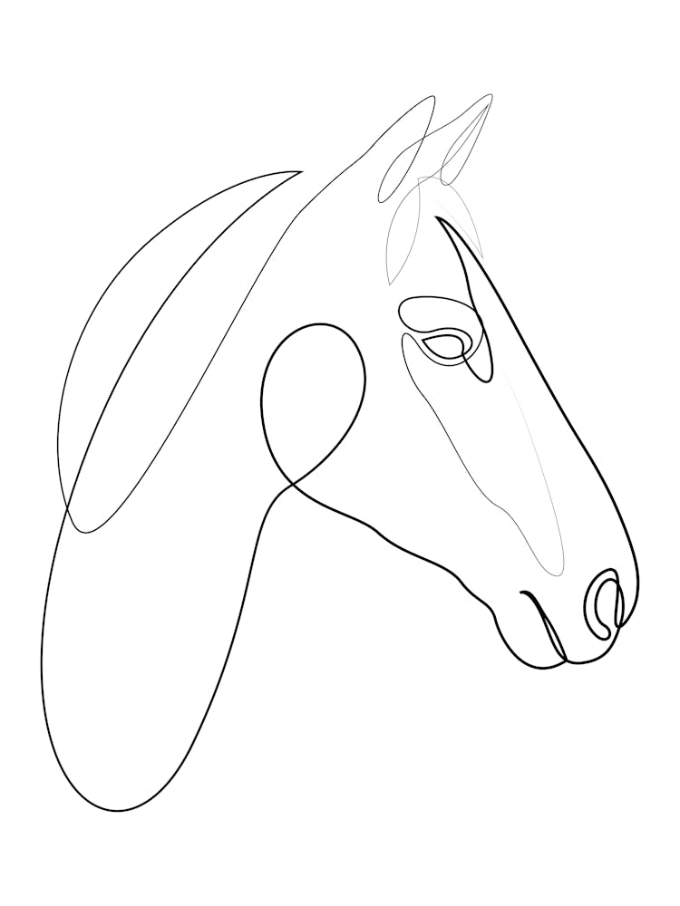 One line horse - H3