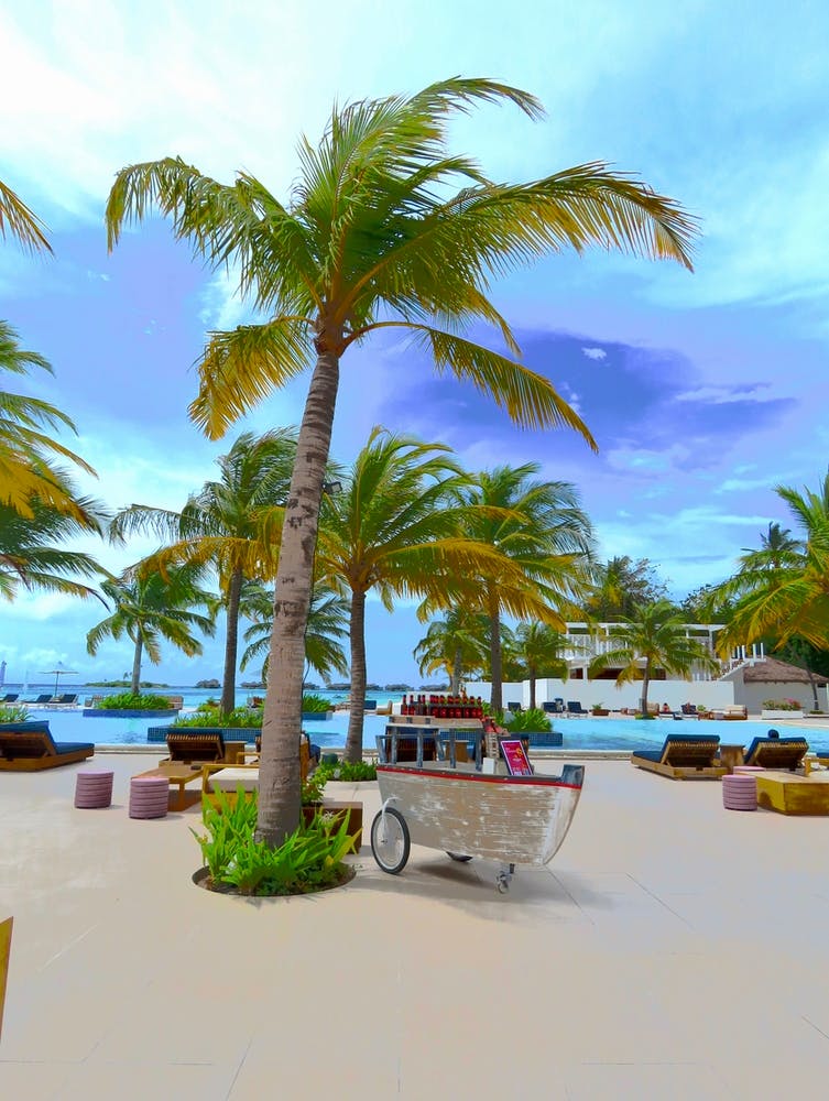 Beach Scene With Palm Tree Swimming Pool Boat