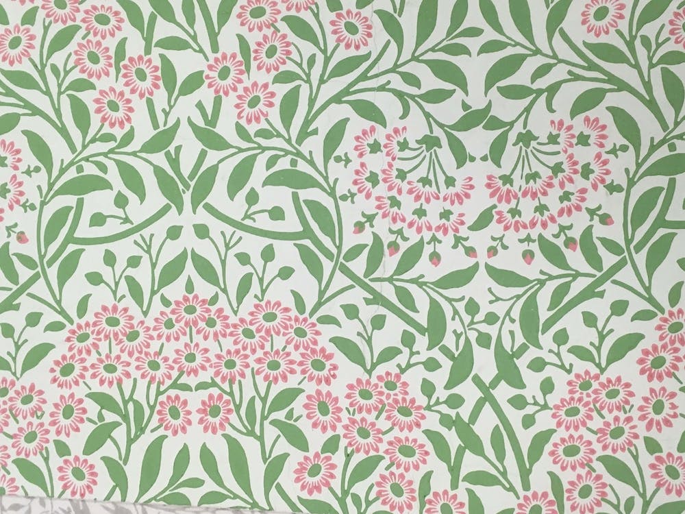 Michaelmas Daisy, John Henry Dearle