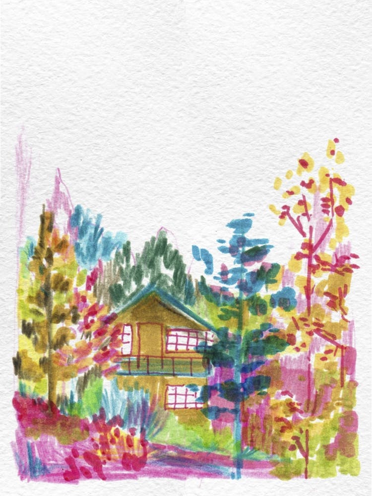 Colorful Forest
