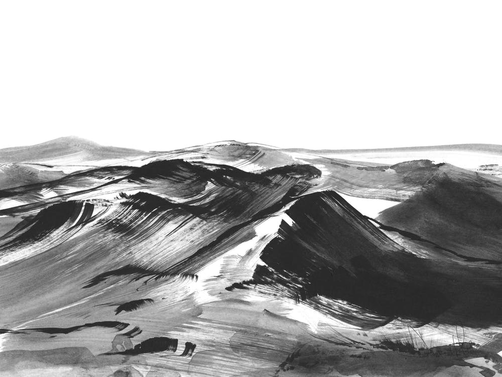 The Hills