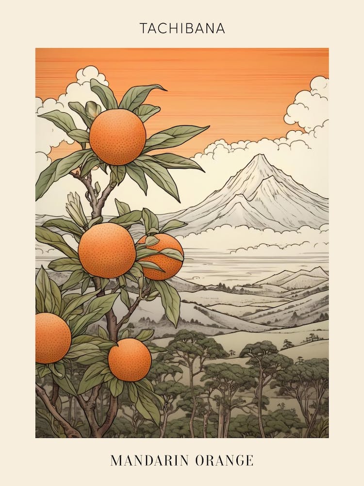 Tachibana Mandarin Orange Japanese Botanical Illustration Poster