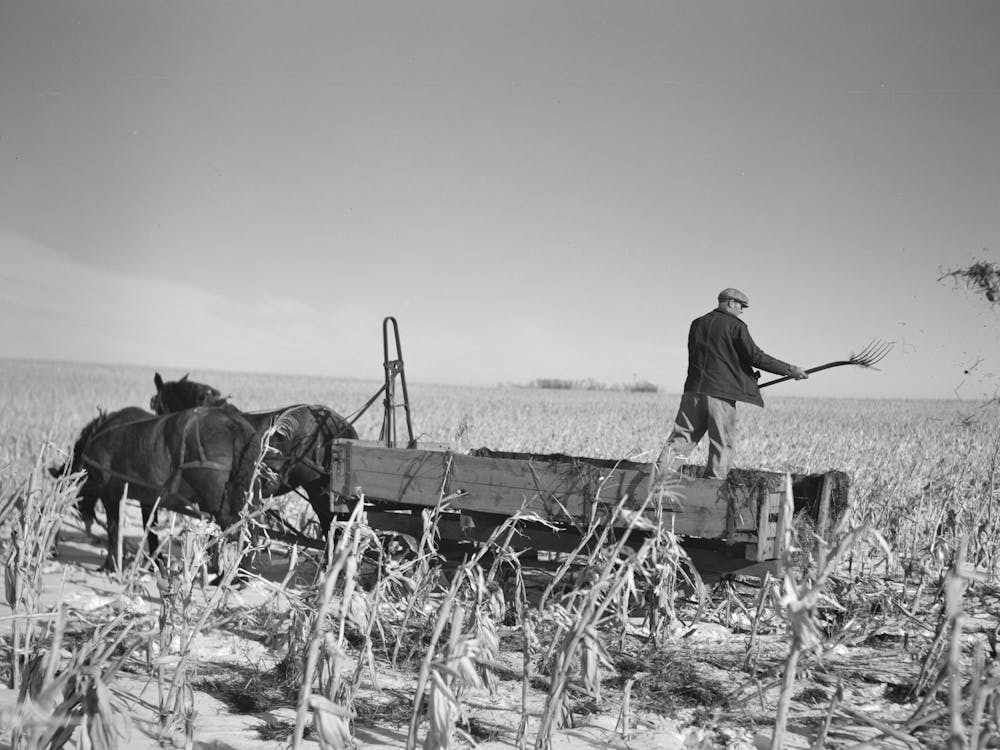 Fermier Épandant du Fumier, Iowa Par Russell Lee