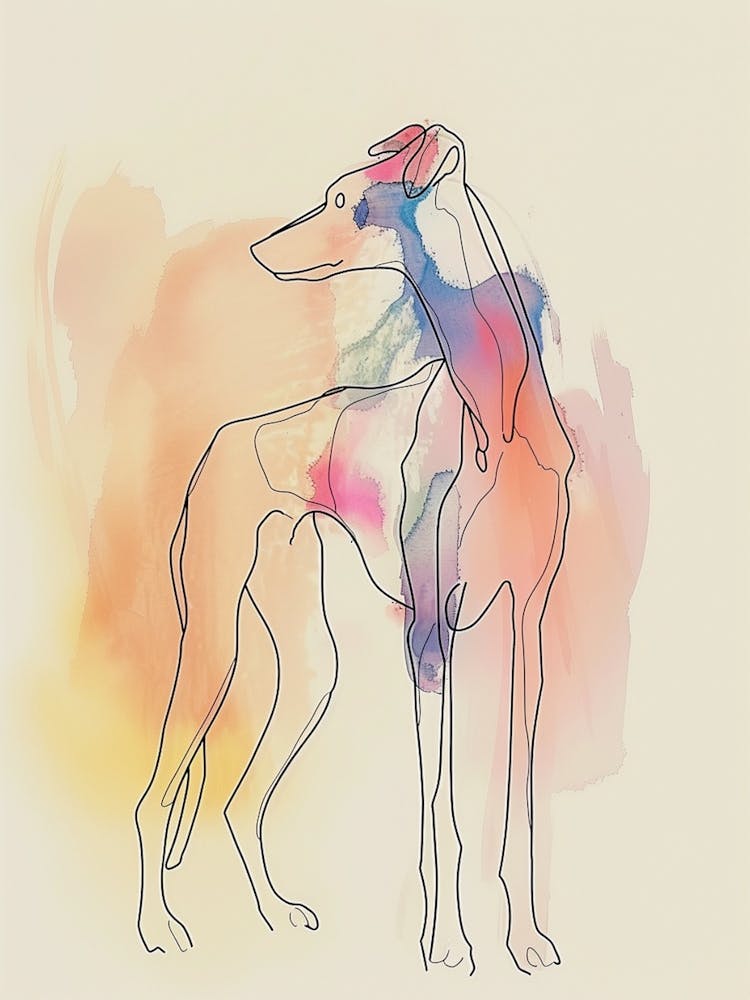Pastel Greyhound Dog Watercolour Line Illustration