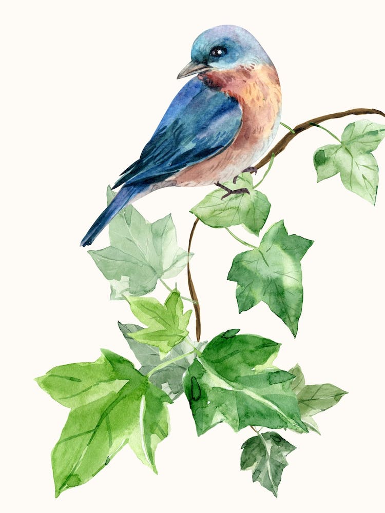 Watercolor Bird On A Branch
