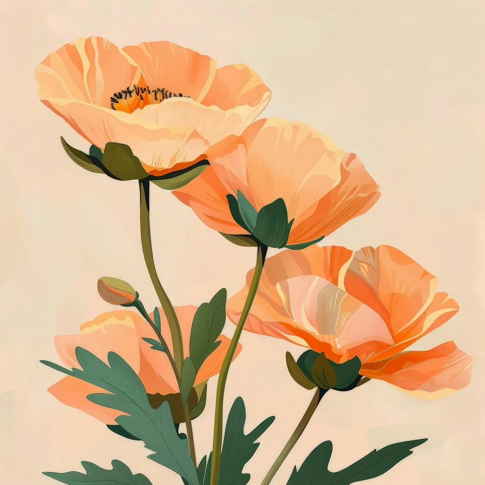 Poppies 41