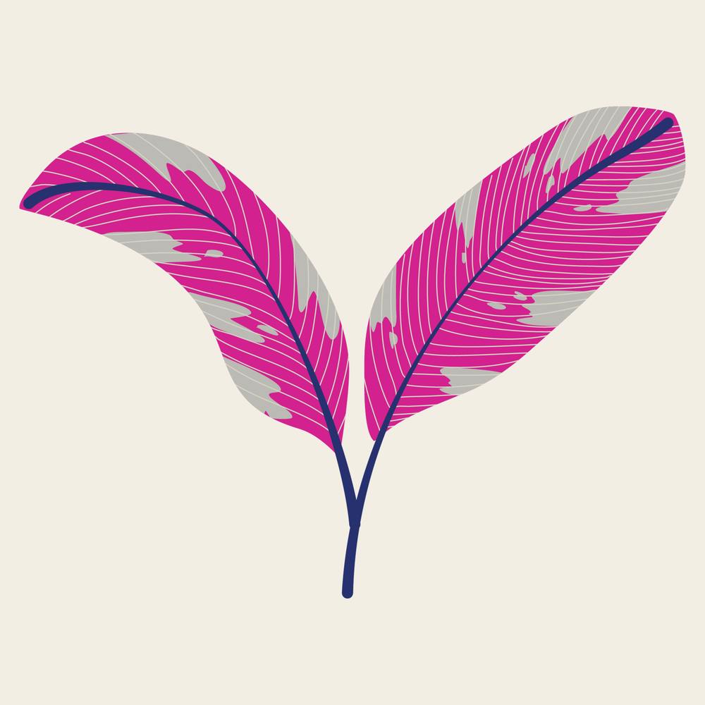 Palm Leaf