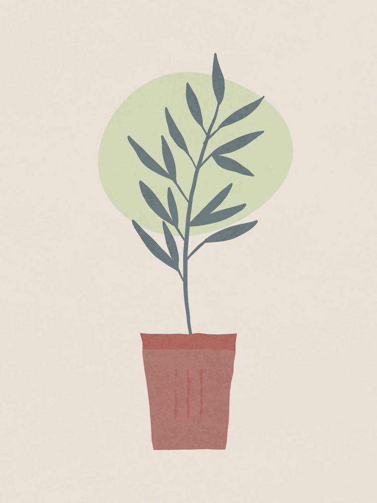 Minimalist Potted Plant with Soft Geometric Background