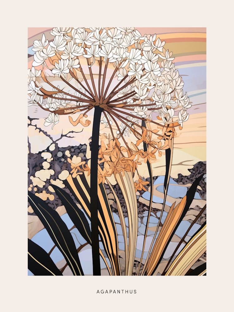 Flower Illustration Agapanthus 3 Poster