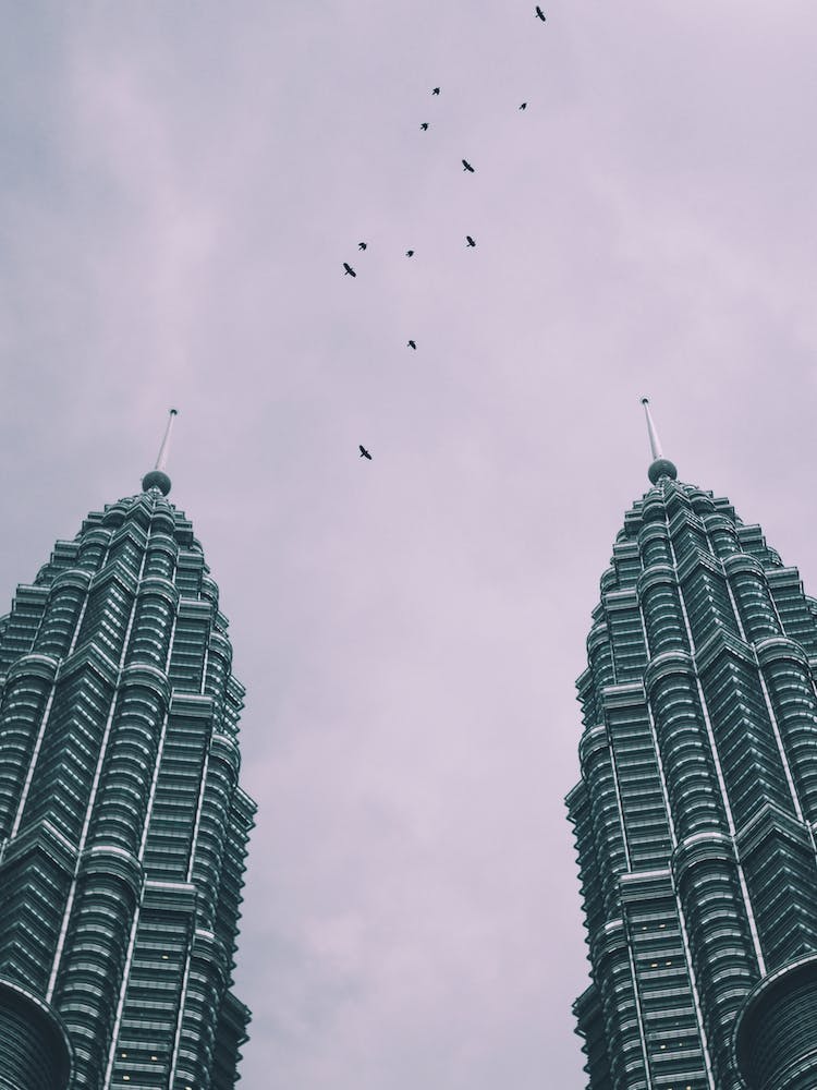 Petronas Twin Towers 4